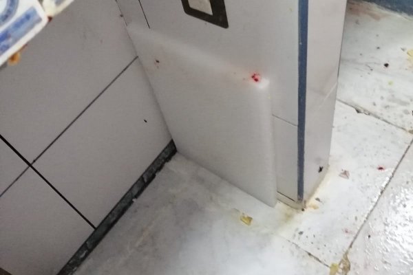 Меню новинки каждую неделю кракен сайт новые блюда доставка