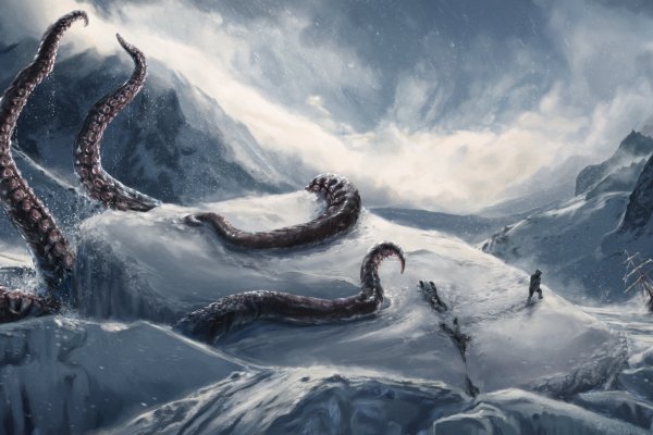 Свежие продукты кракен качественные ингредиенты