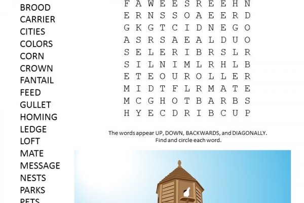 Домен восемь ланчи krab8 cc офис