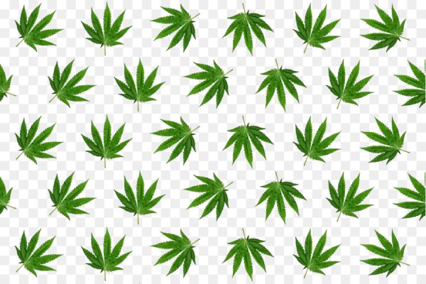 Адрес семь домашняя еда krab7 at доставка