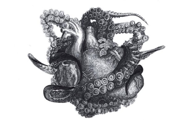 Альтернативный запасной рабочий адрес сайта доставки кракен переходник ссылка еда