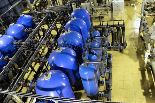 Веганское меню кракен без животных продуктов