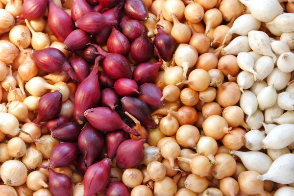 Ссылки тор браузер kraken еда