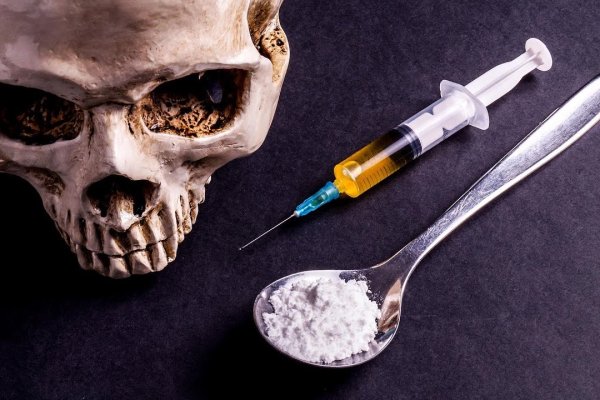 Доставка питания ссылка на кракен тор