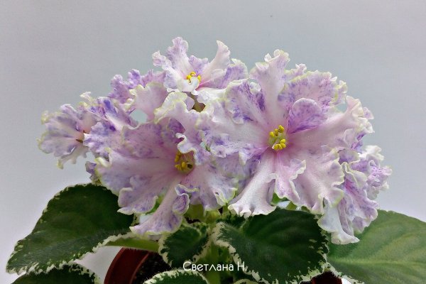 Krab7 cc ужины с доставкой