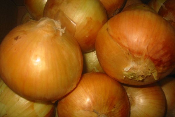 Новое меню неделя блюда кракен актуальные доставка